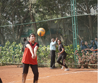 Cultural, Sports & Festivals - Image 7